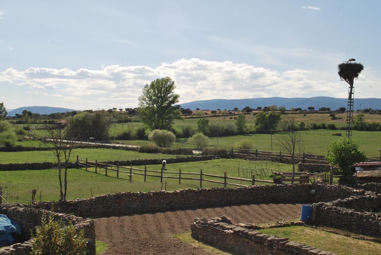 Posada La Fragua Gandullas Exteriör bild