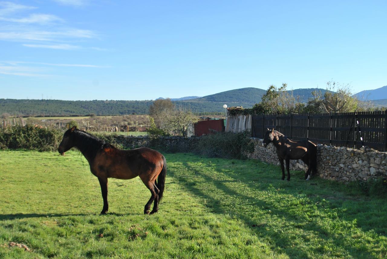 Posada La Fragua Gandullas Exteriör bild